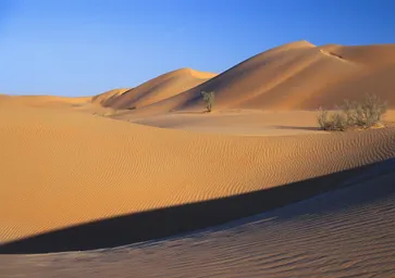Wahiba Sands - Oman