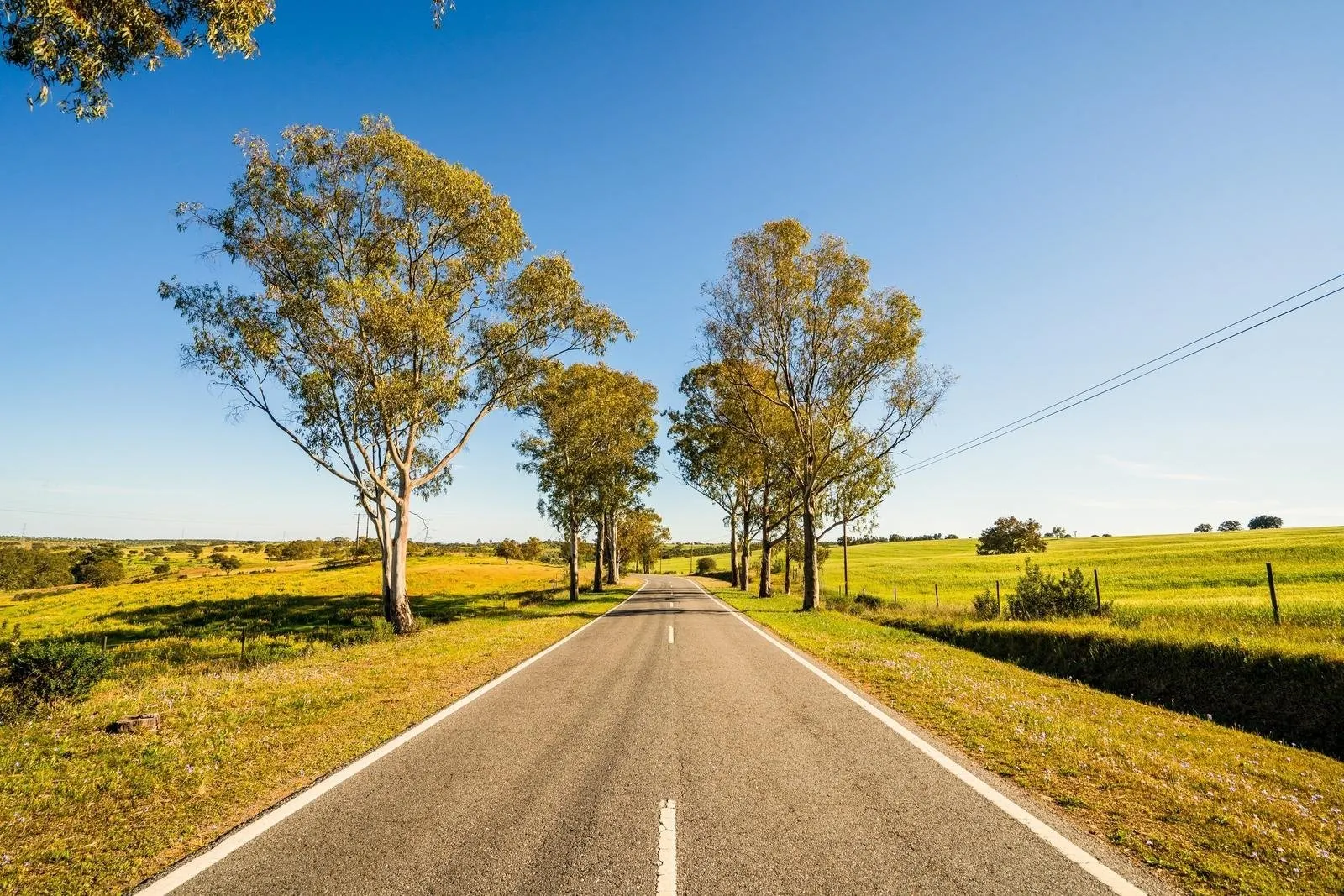 Fly-drive Onthaasten tussen wijn en natuur in Portugal - weg in de Alentejo