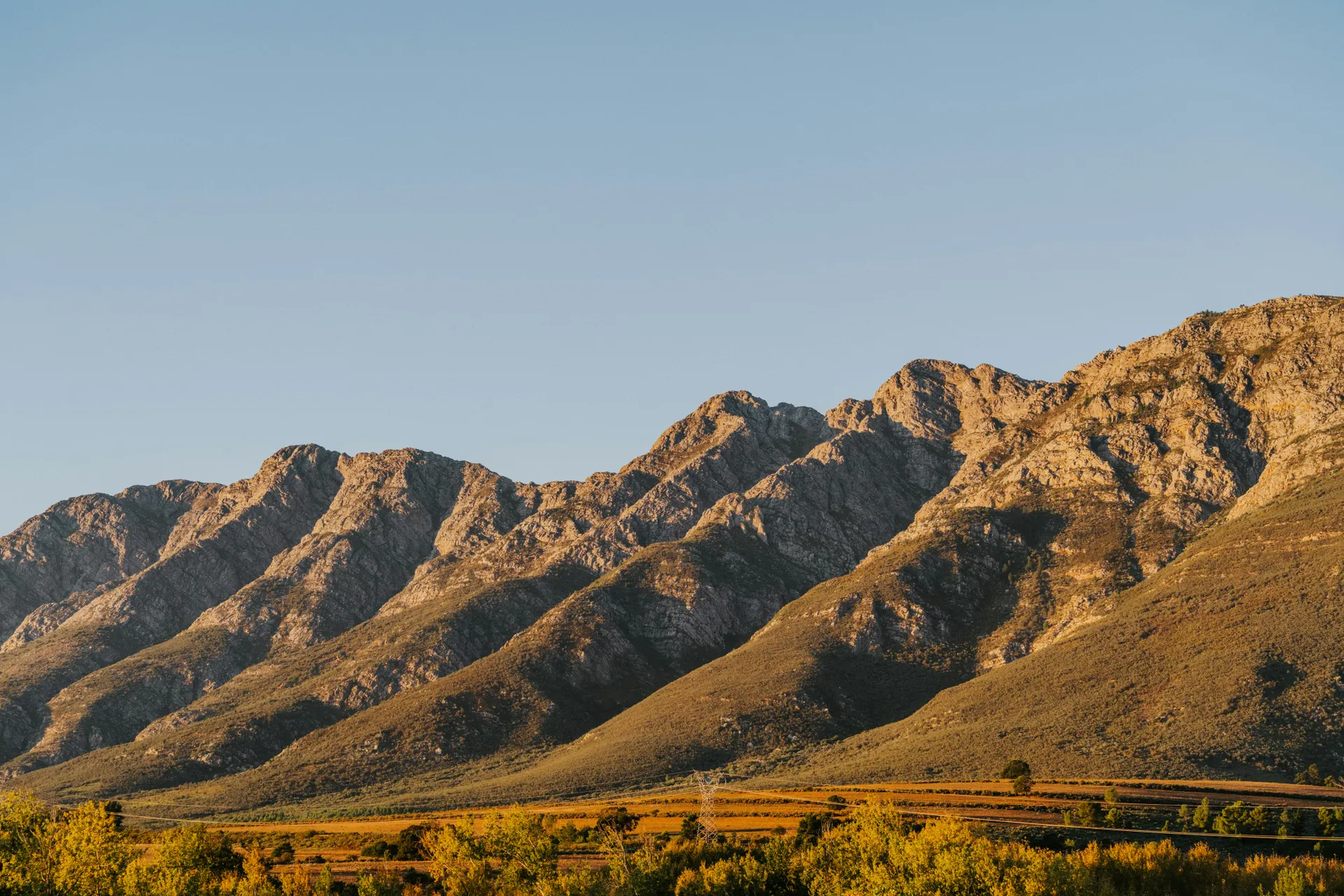 &Olives-Zuid-afrika-Tulbagh-mountain view