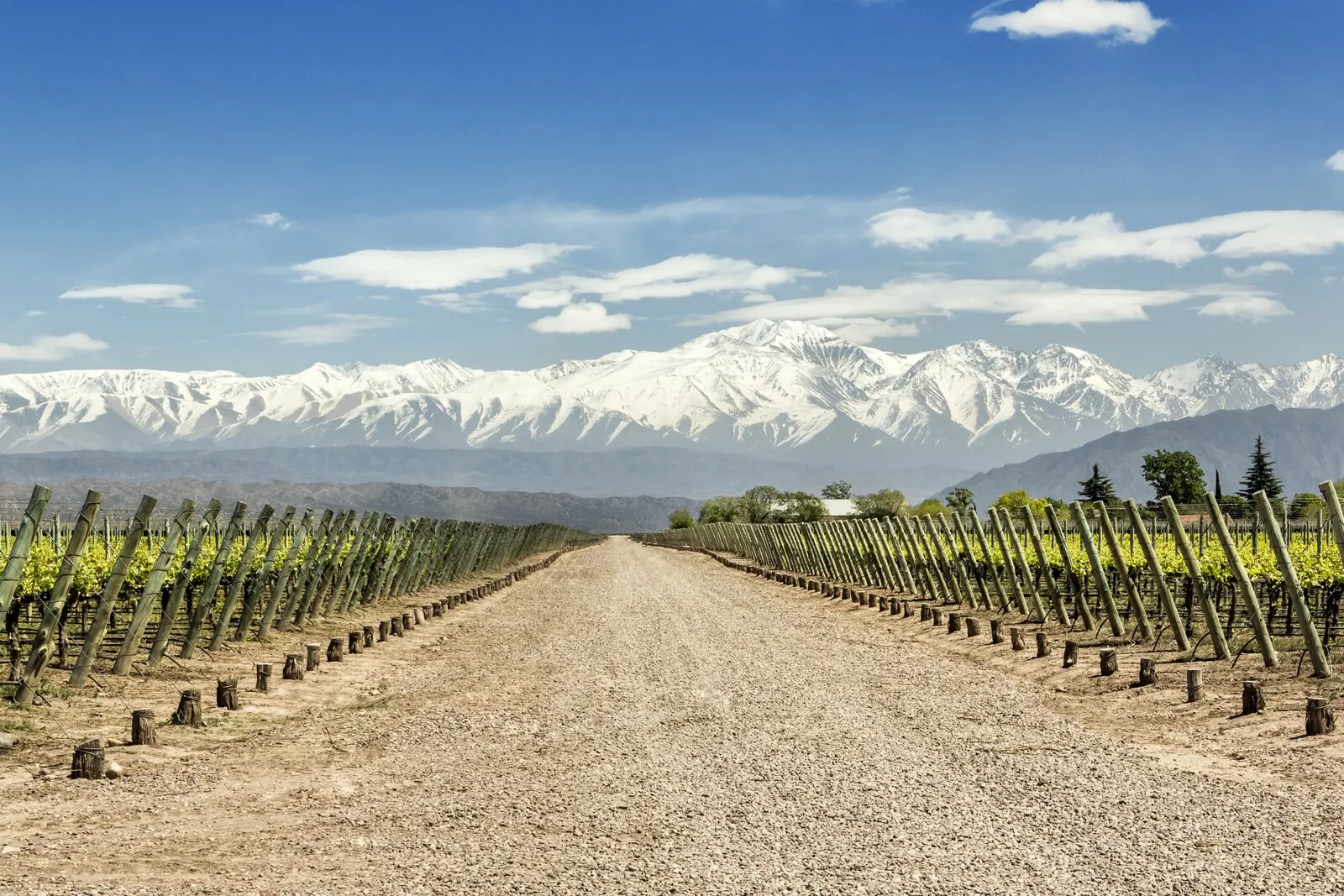 Mendoza 3 - Argentinië