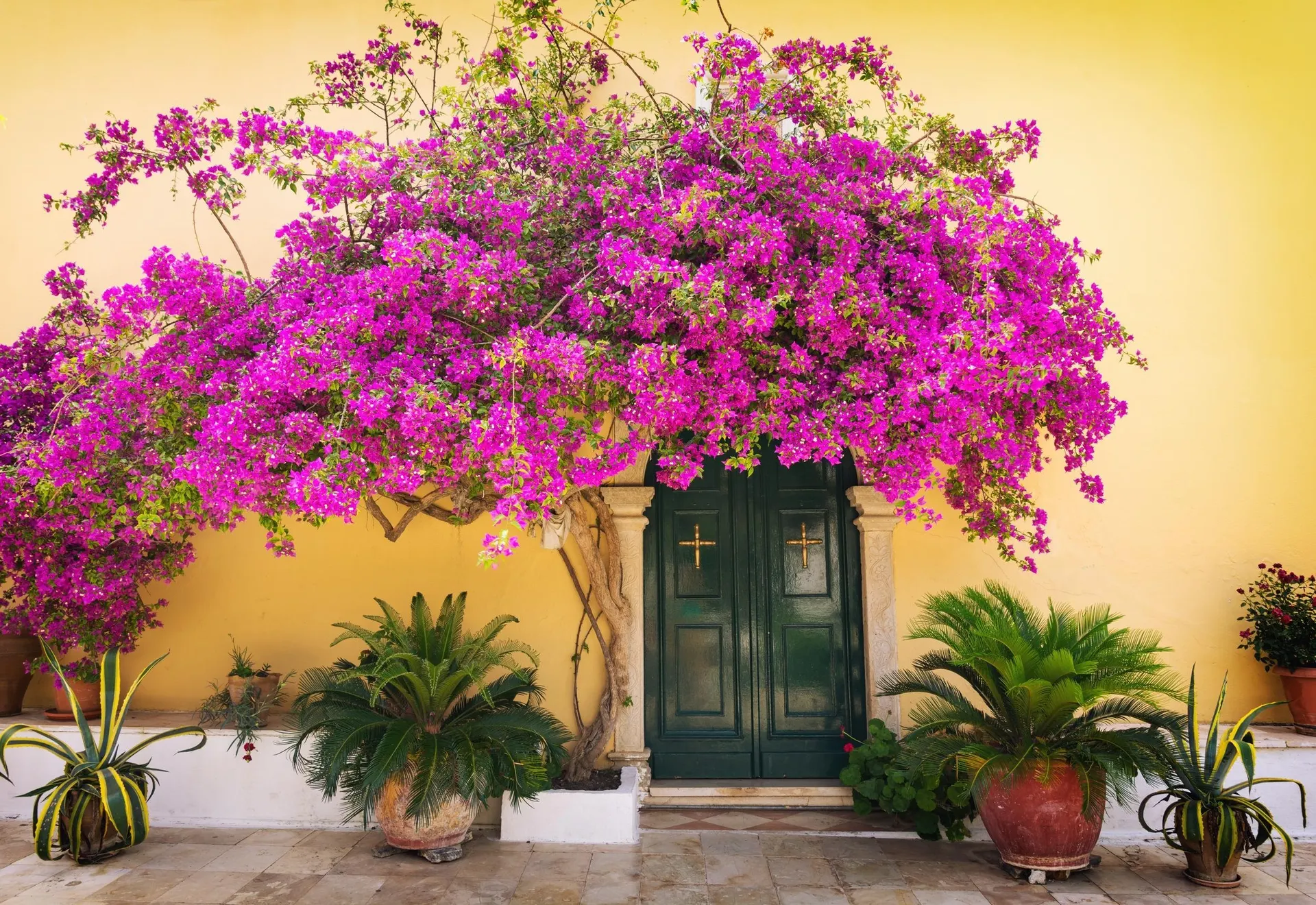 Corfu