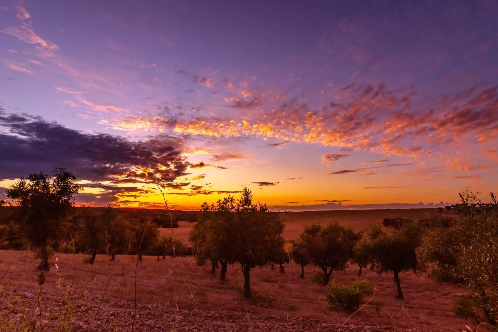 Fly-drive Onthaasten tussen wijn en natuur in Portugal - zonsondergang in de Alentejo
