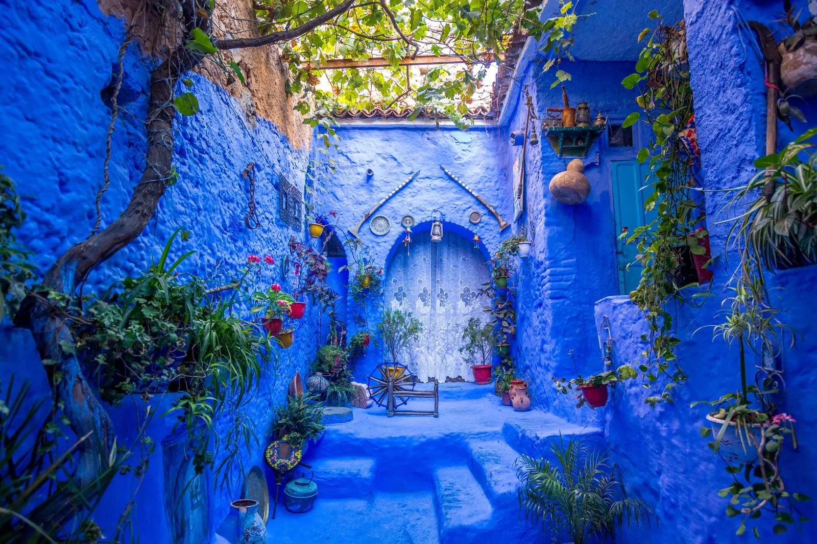 &Olives Morocco El Qalaee huis in Chefchaouen stad, Marokko