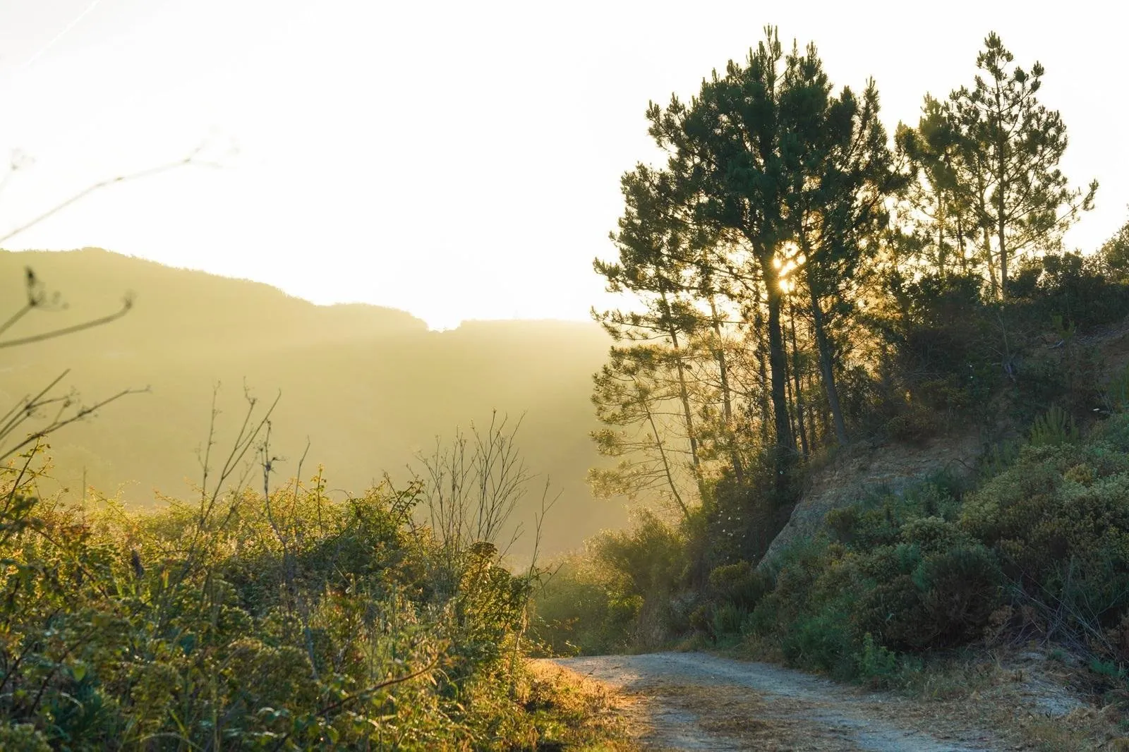 Fly-drive Costa Vicentina (hotels) 8 dagen