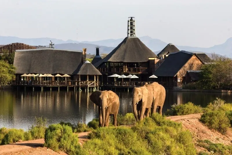 &Olives Travel-Zuid-Afrika-Oudtshoorn-Buffelsdrift game lodge-outside1