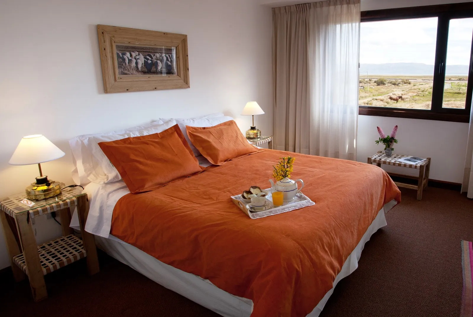 Cauquenes de Nimez-Kamer