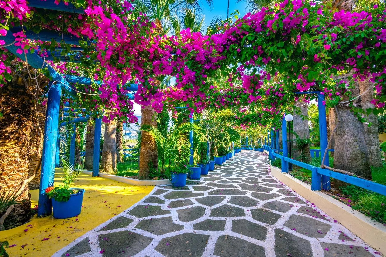 Sisi-Kreta-Griekenland-OlivesTravel.jpg