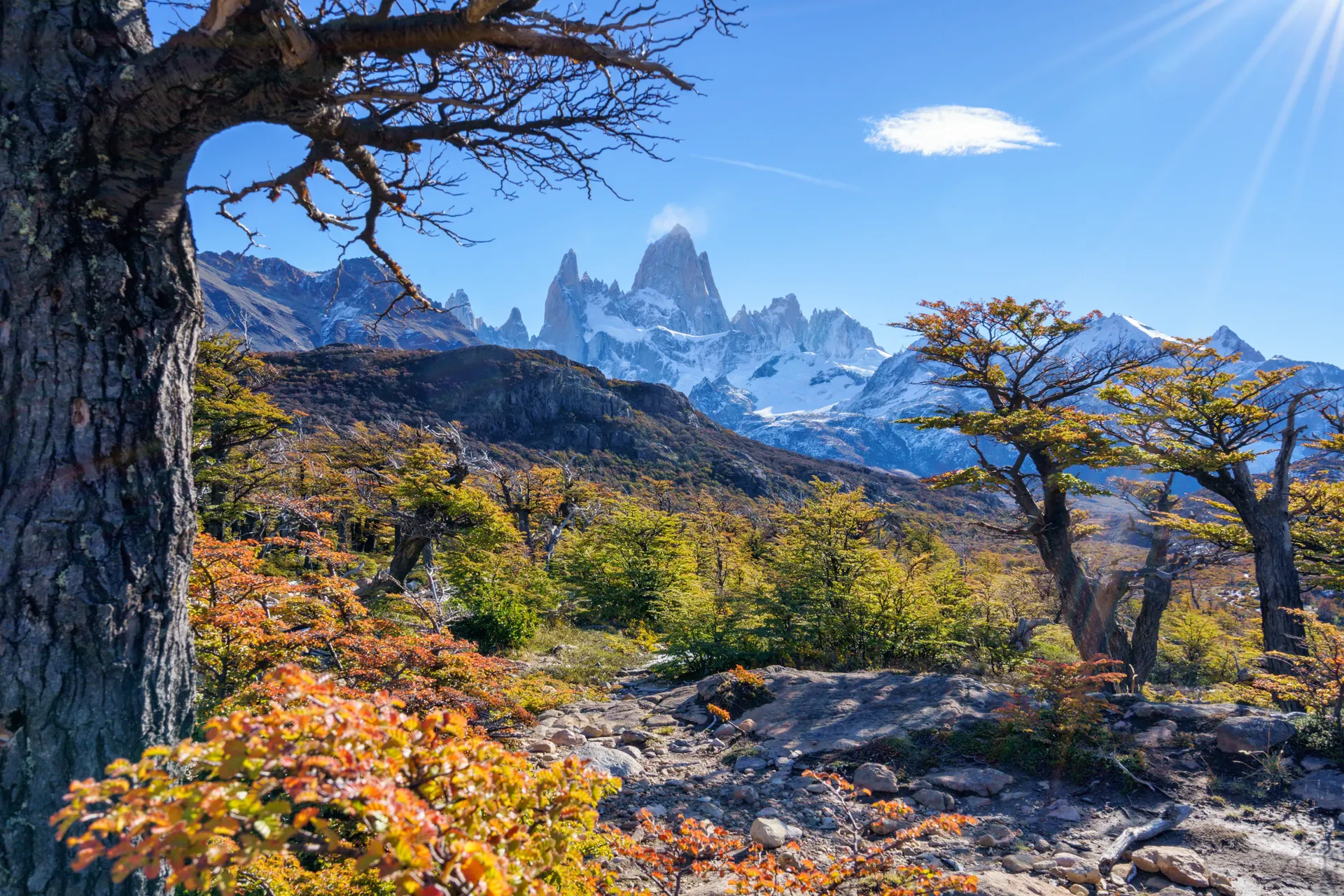 &Olives Argentinie El Chalten,Patagonia