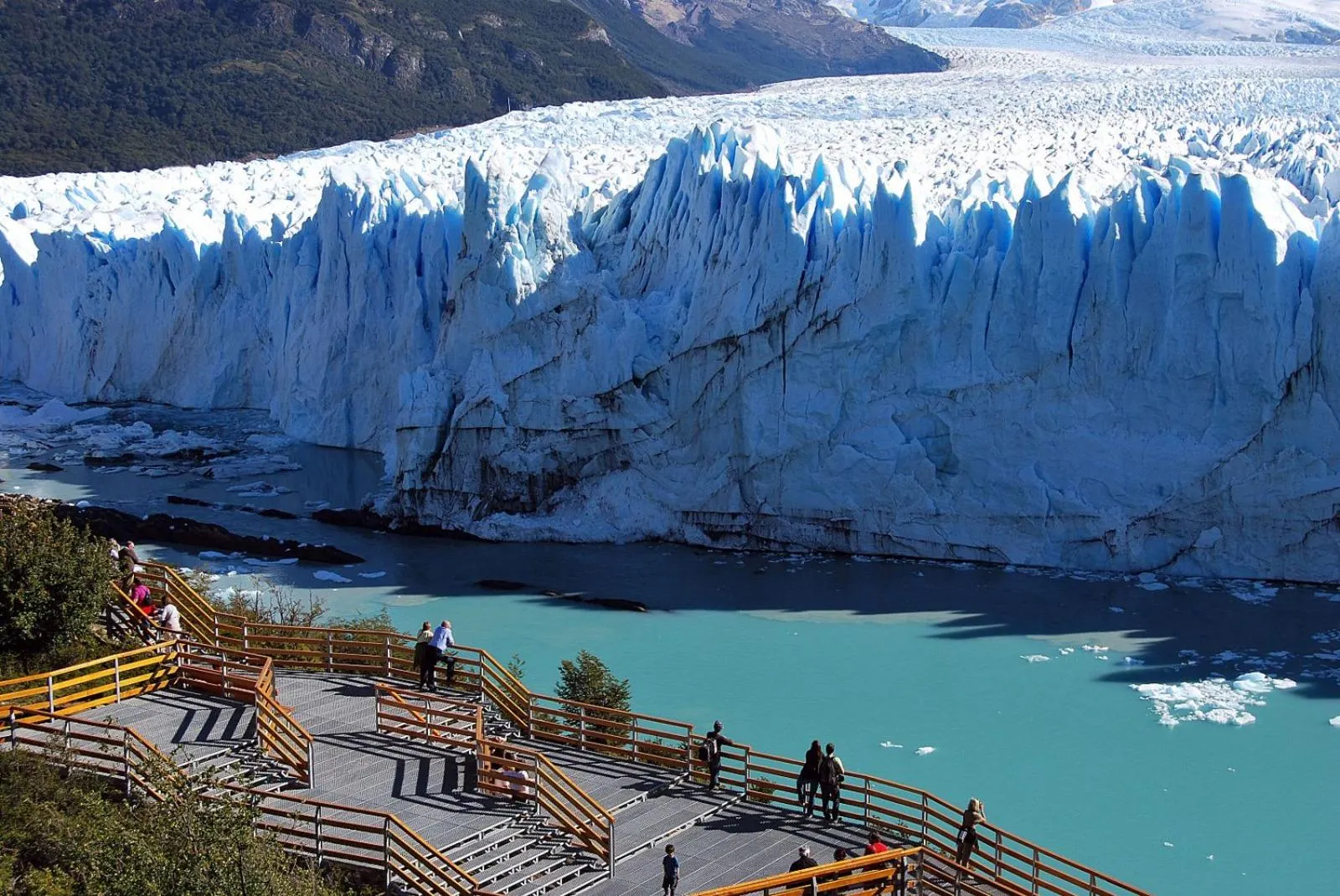 Cauquenes de Nimez - El Calafate
