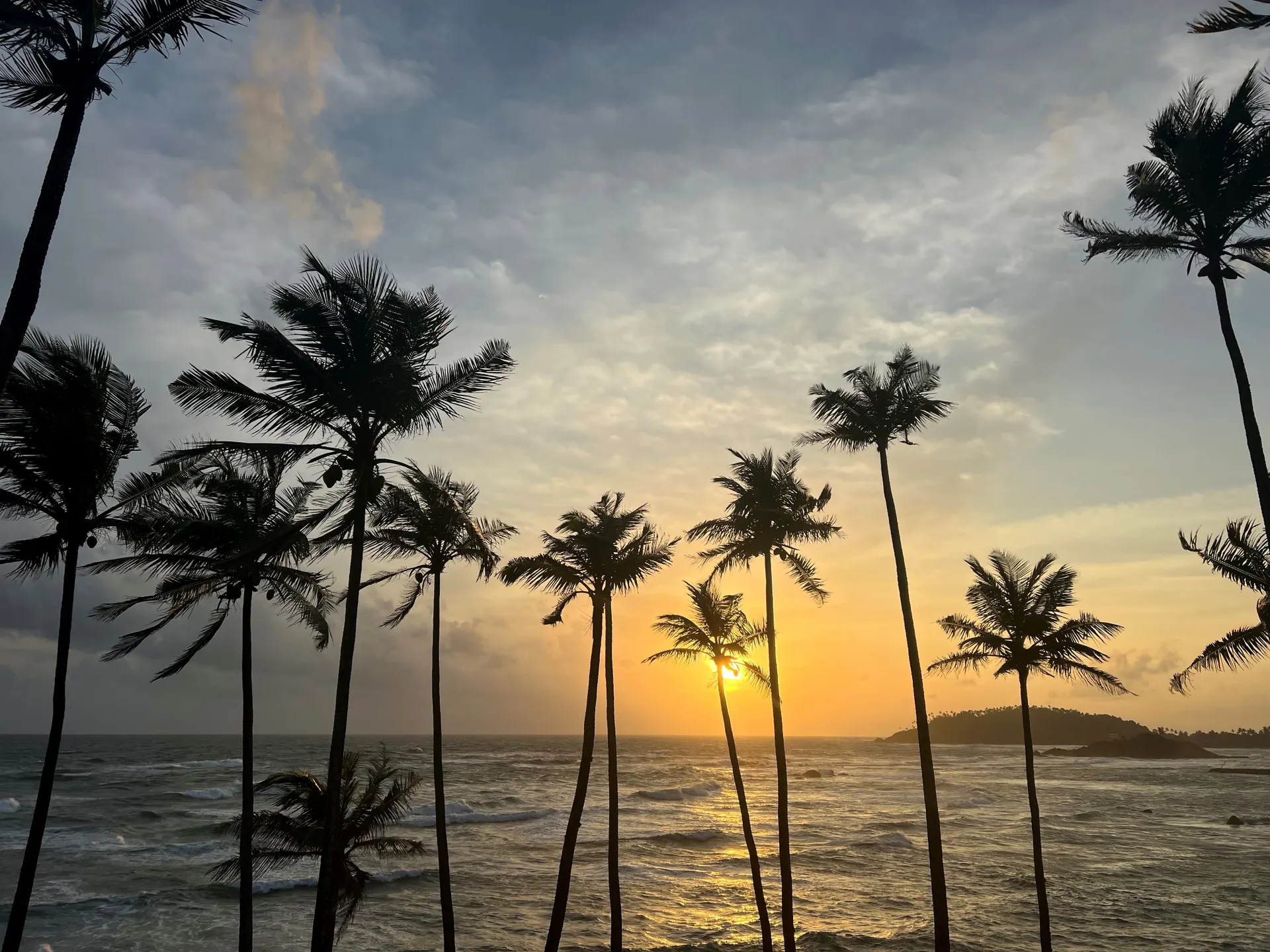 Mirissa coconut tree hill