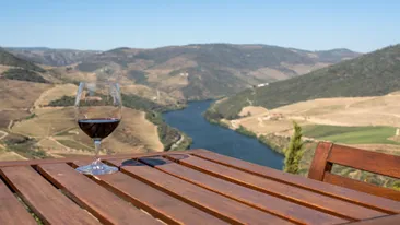 Glas rode Port op tafel met uitzicht op de Douro vallei, Portugal