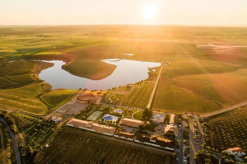 Hotel Rural Vila Gale Alentejo Vineyards