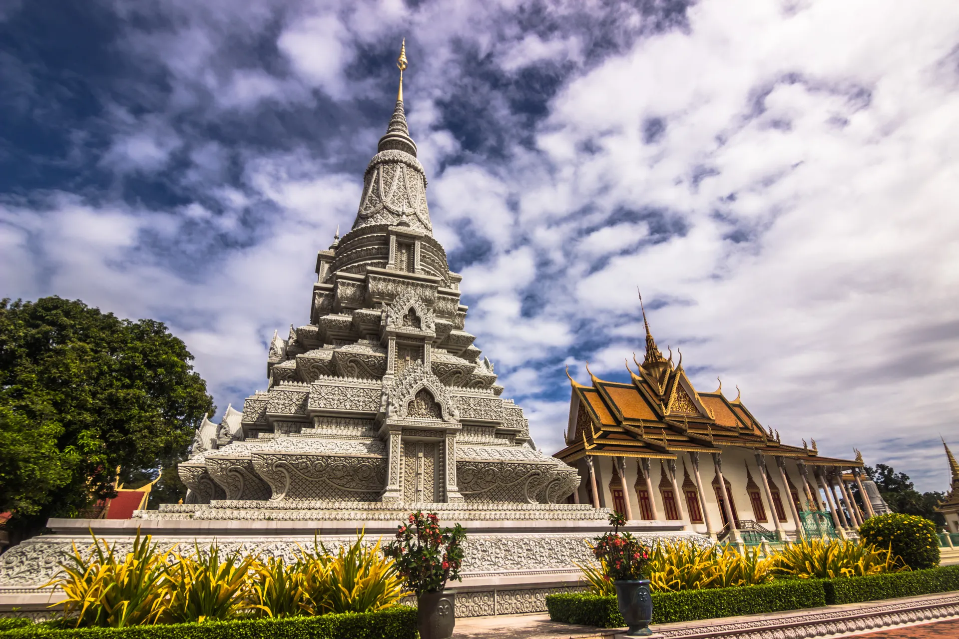 &Olives-Cambodia-Phnom Penh-City