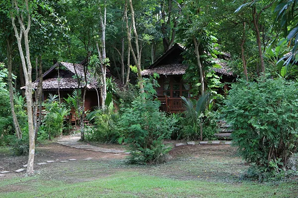 AndOlives-Thailand-Mae-Hong-Son-FernResort-room