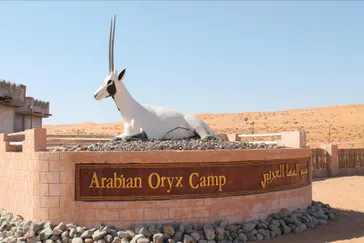 Arabian Oryx Camp - Wahiba Sands