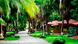 AndOlives-CostaRica-Esenciahotel-garden
