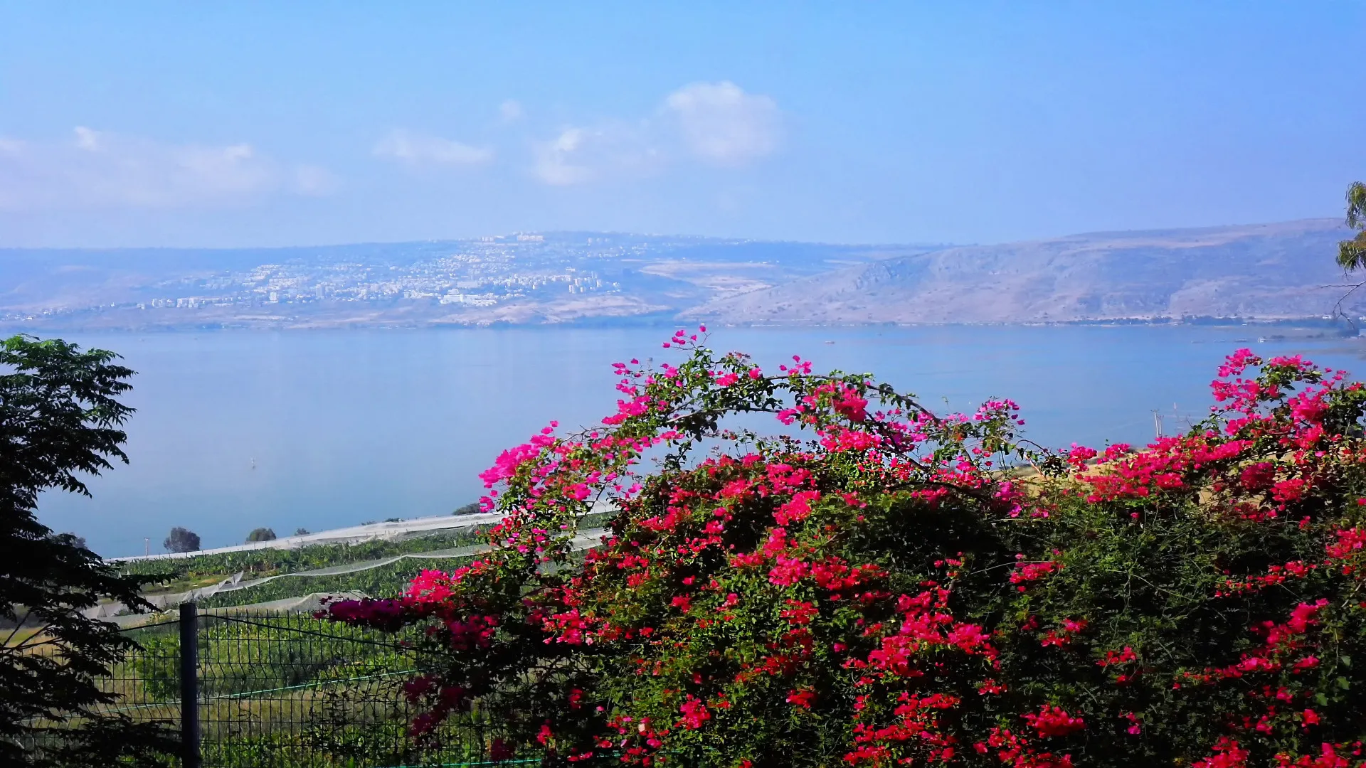 Prachtig uitzicht op het Meer van Galilea, Tiberias, Berg der Zaligheid, De Bergrede, Israël
