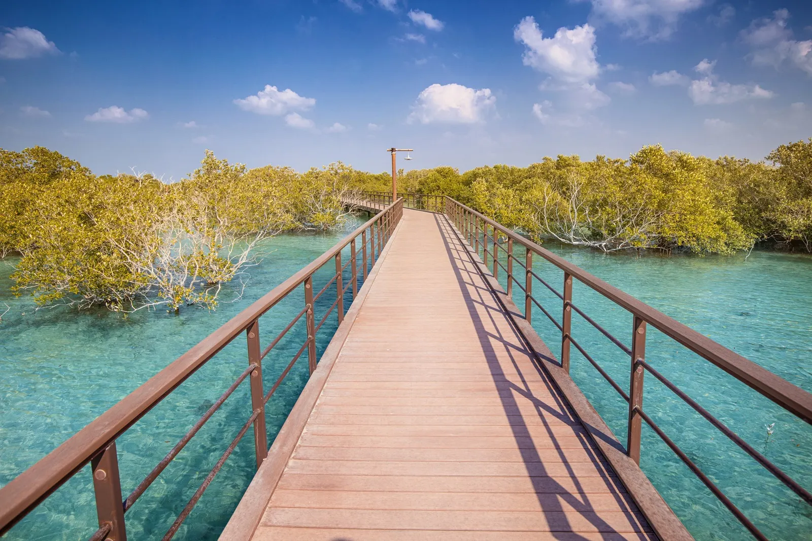 Scenic view of a wooden boardwalk extending through a vibrant mangrove forest with turquoise waters in mangrove park, Abu Dhabi, UAE