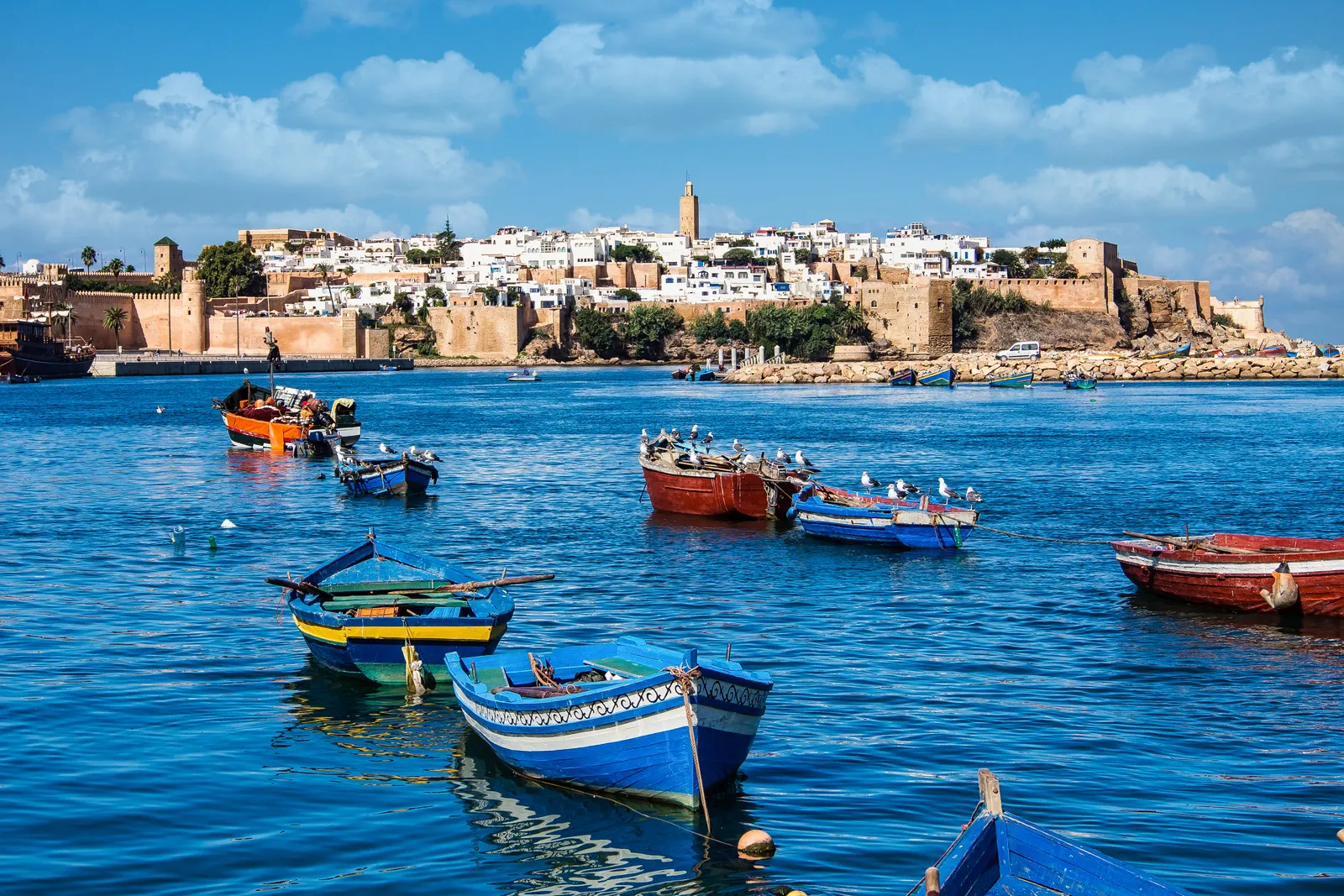 &Olives_Morocco_View of the harbour of Rabat, located in the river Bou Regreg at the mouth of the Atlantic Ocean.