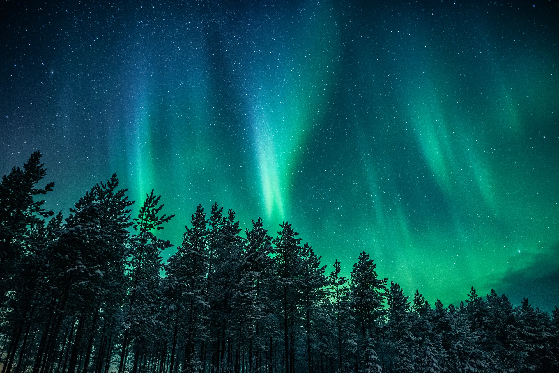 Finland Auroras