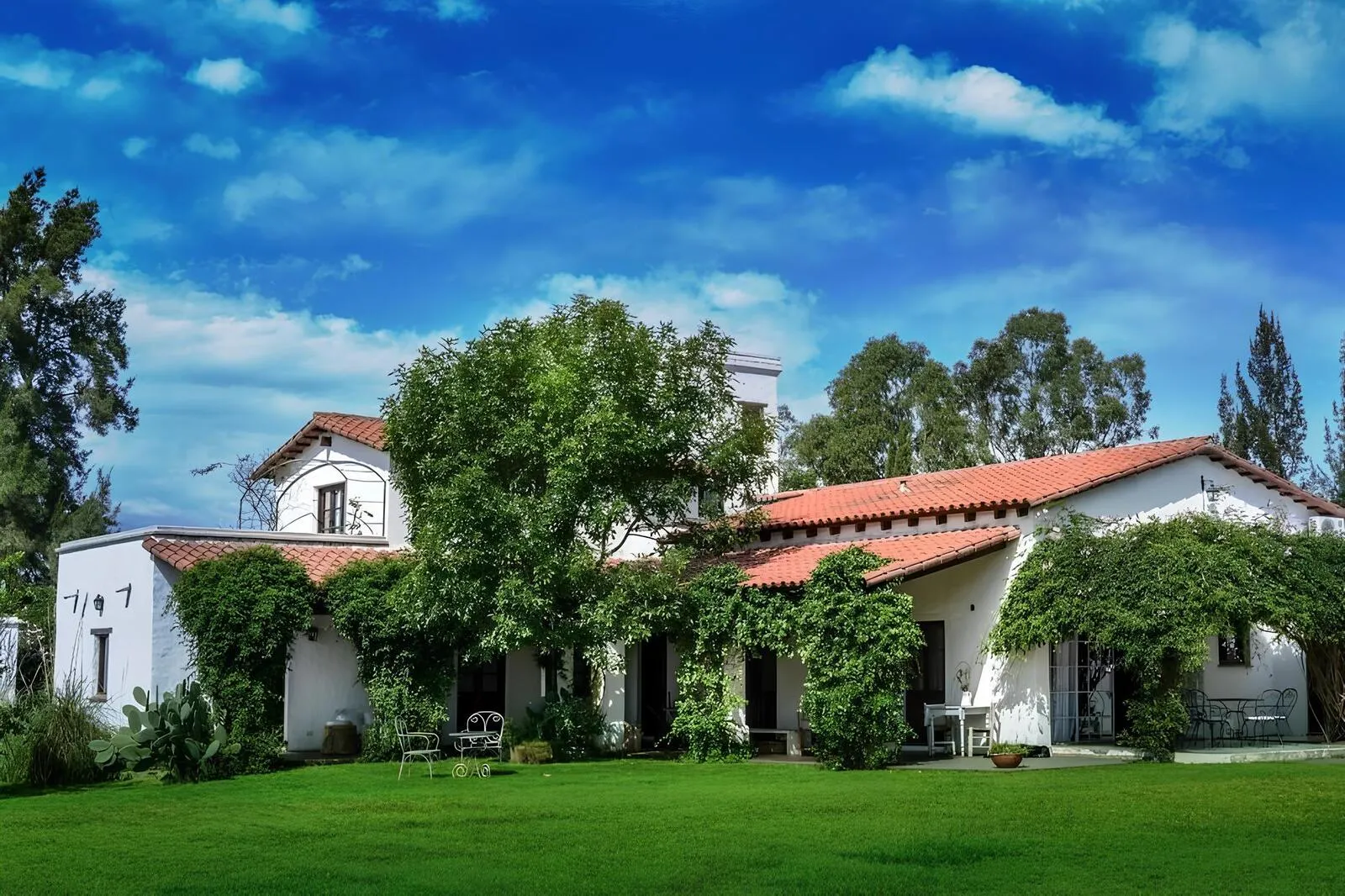 AndOlives-Argentinie-Finca Valentina-Hotel