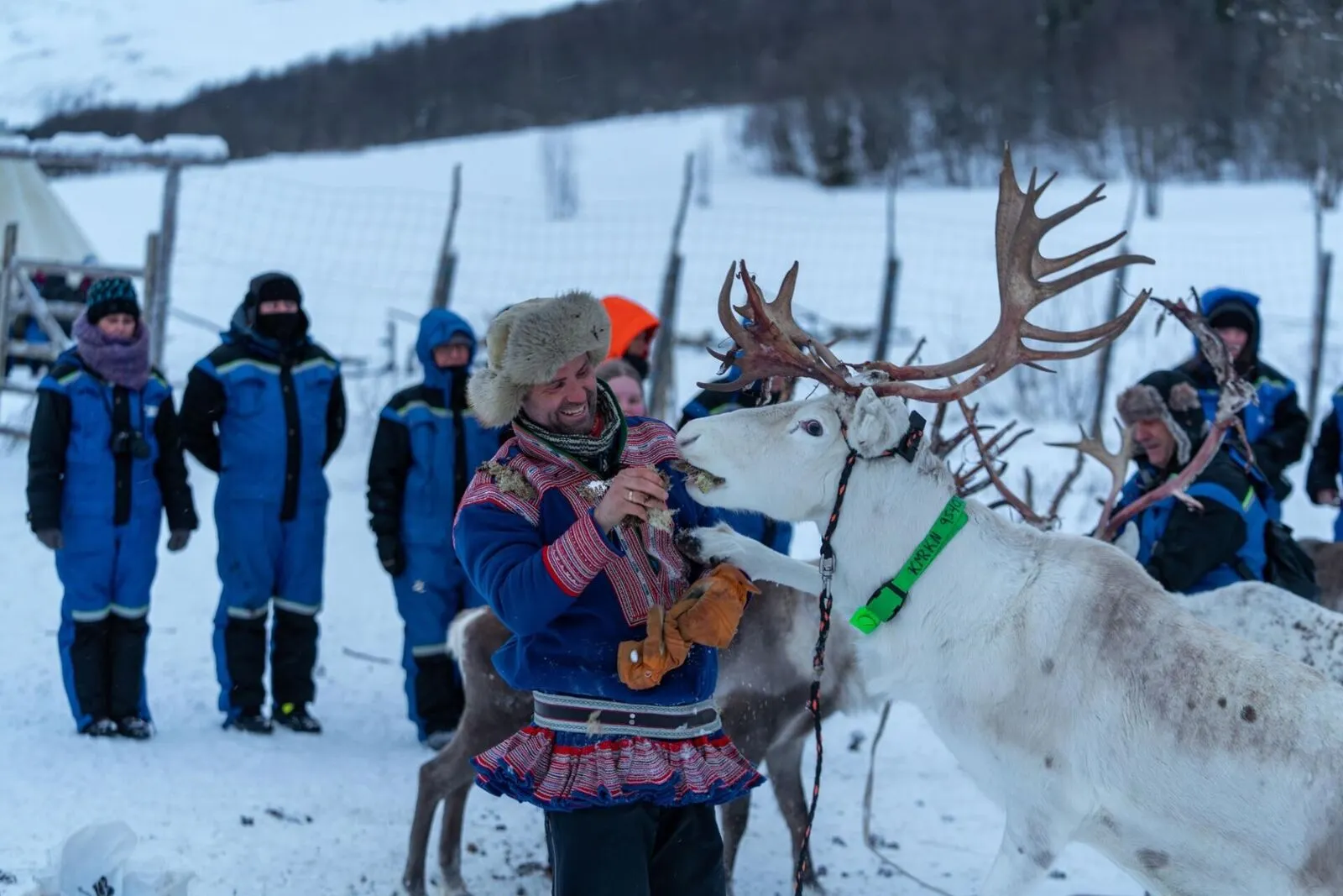 &olives-Noorwegen-Camp Tamok-rendier excursie