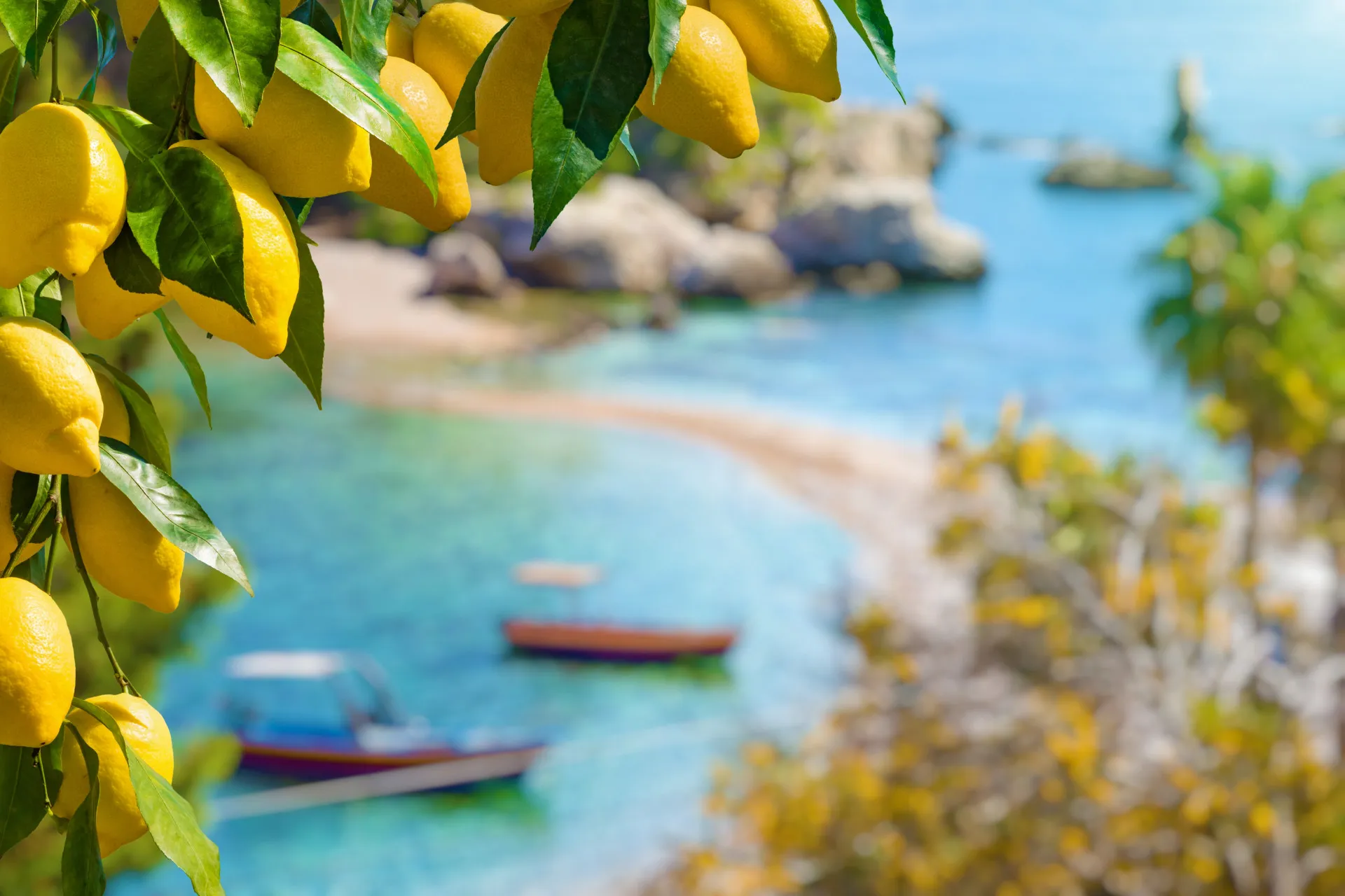 Citroenen bij zee Taormina - Sicilië