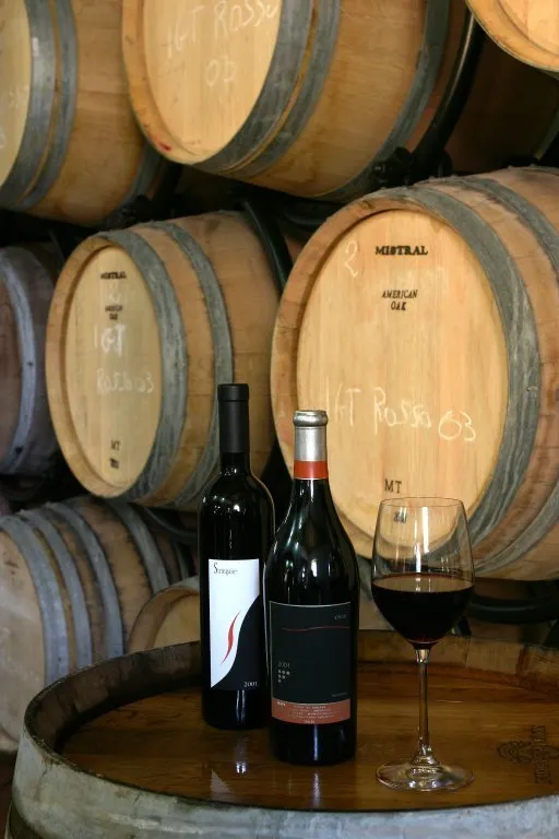 Fattoria Borgo La Torre - Wijnvatten