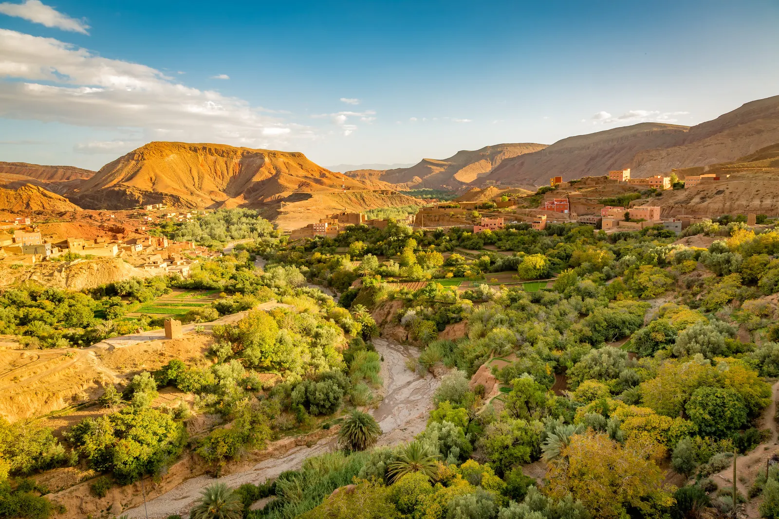 &Olives Morocco Oasis with the small gardens in the valley of Oued Dades in Morocco