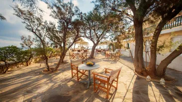 Terras met stoelen en bomen bij Cavos Bay, Armenistis, Ikaria, Griekenland