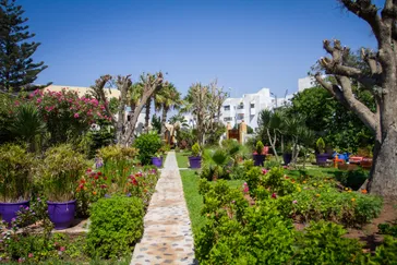 Villa Quieta - Essaouira