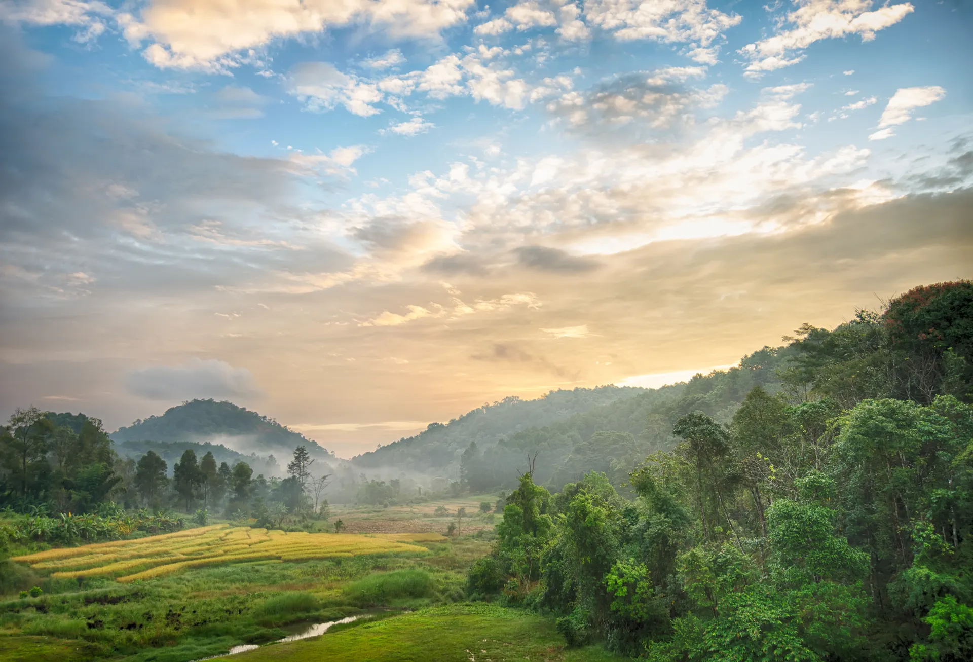 &Olives Thailand Mae Hong Son