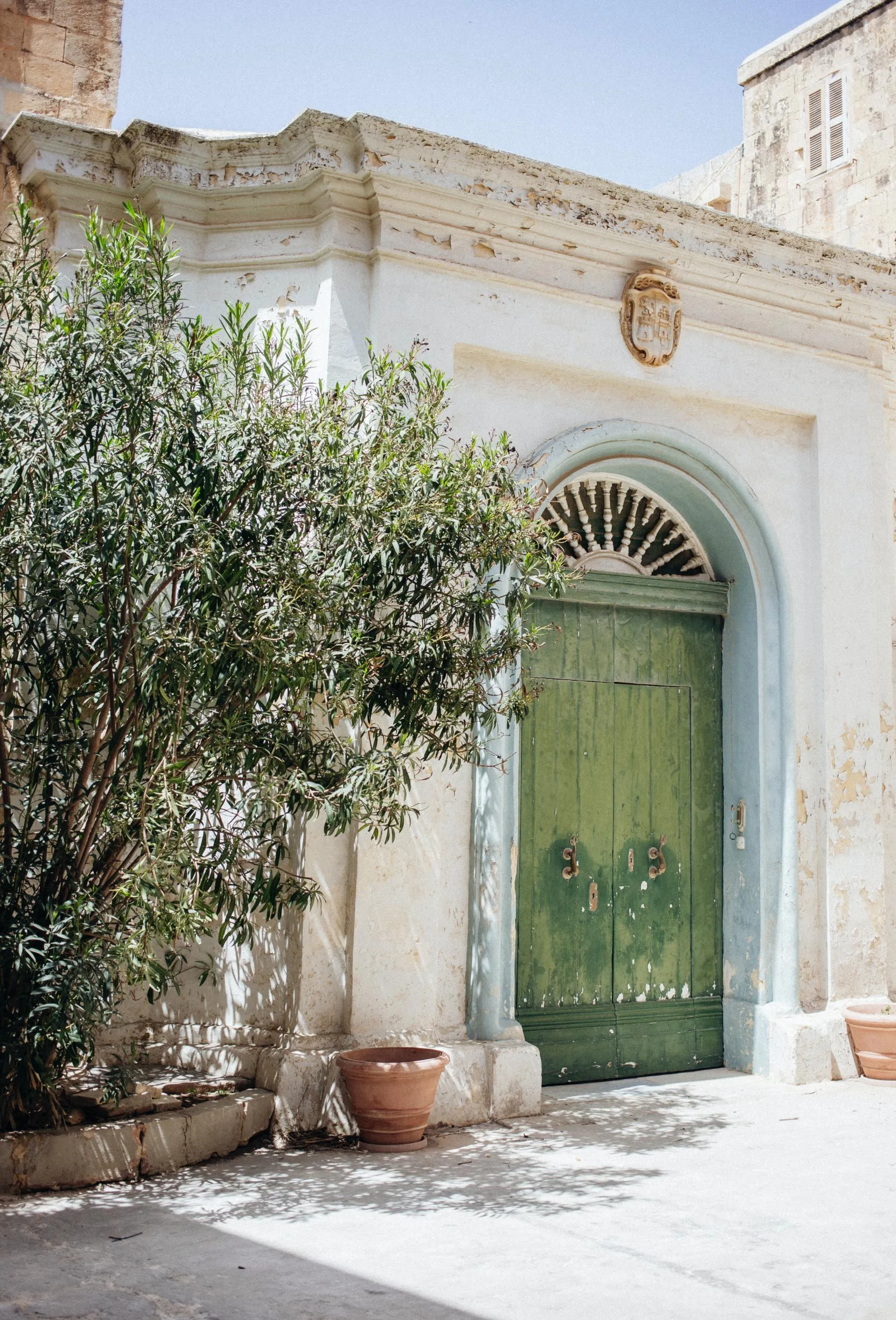 Oude groene deur op Malta met olijfboom 