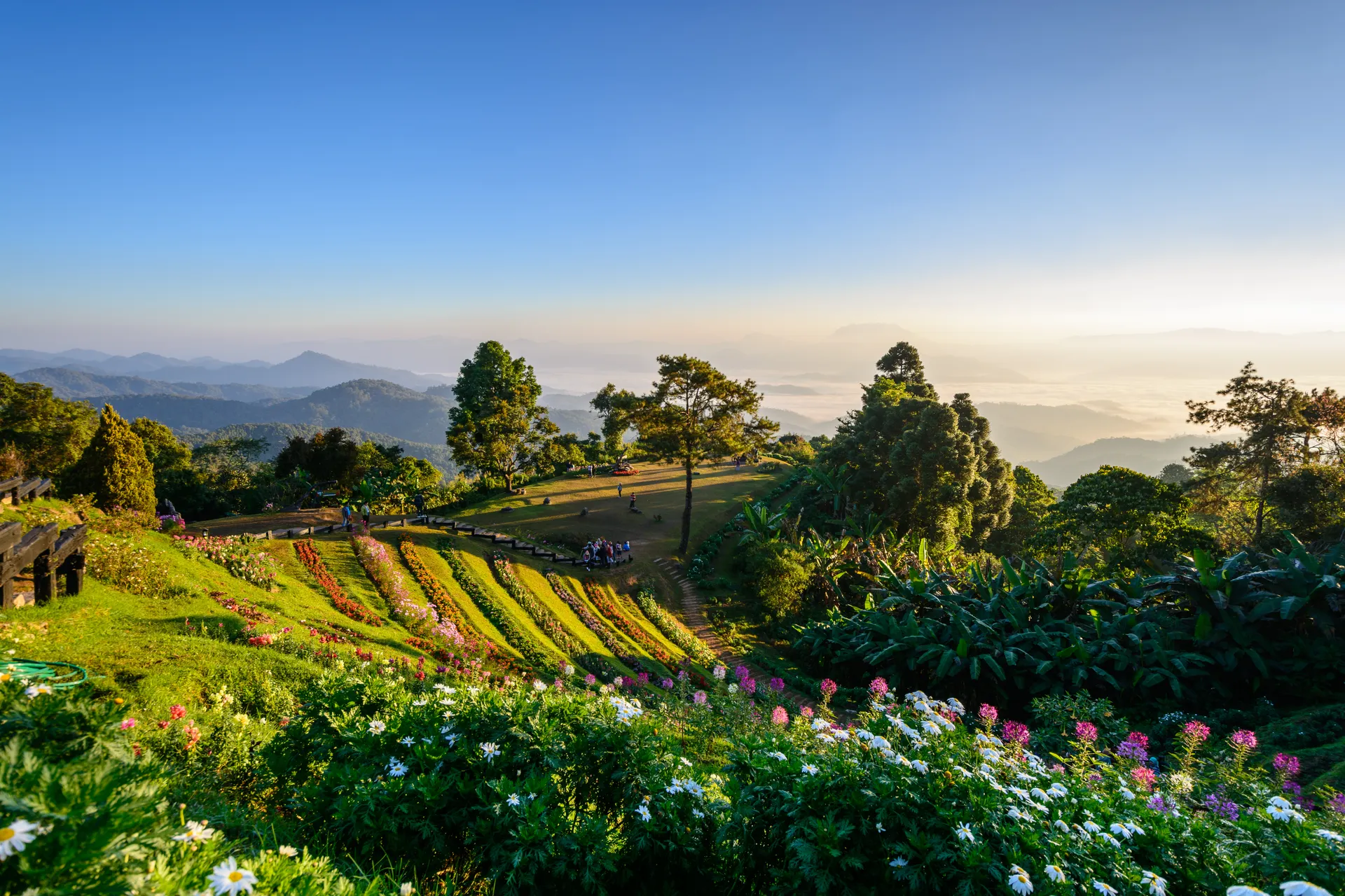 &Olives Thailand Viewpoint at Chiang Mai