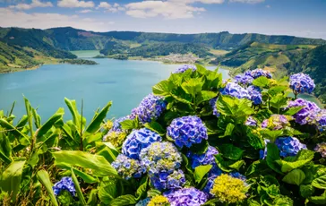 Azoren-Sao Miguel-sete cidades-blauwe hortensia's met meer