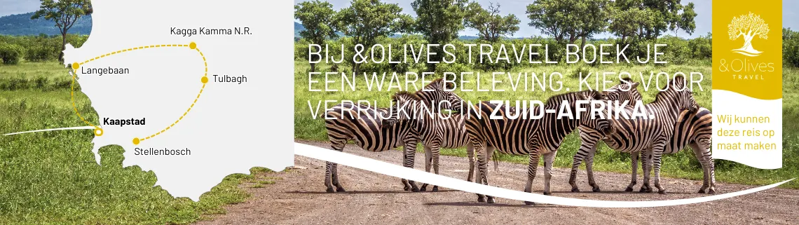 9 days - Aan de voet van de Tafelberg