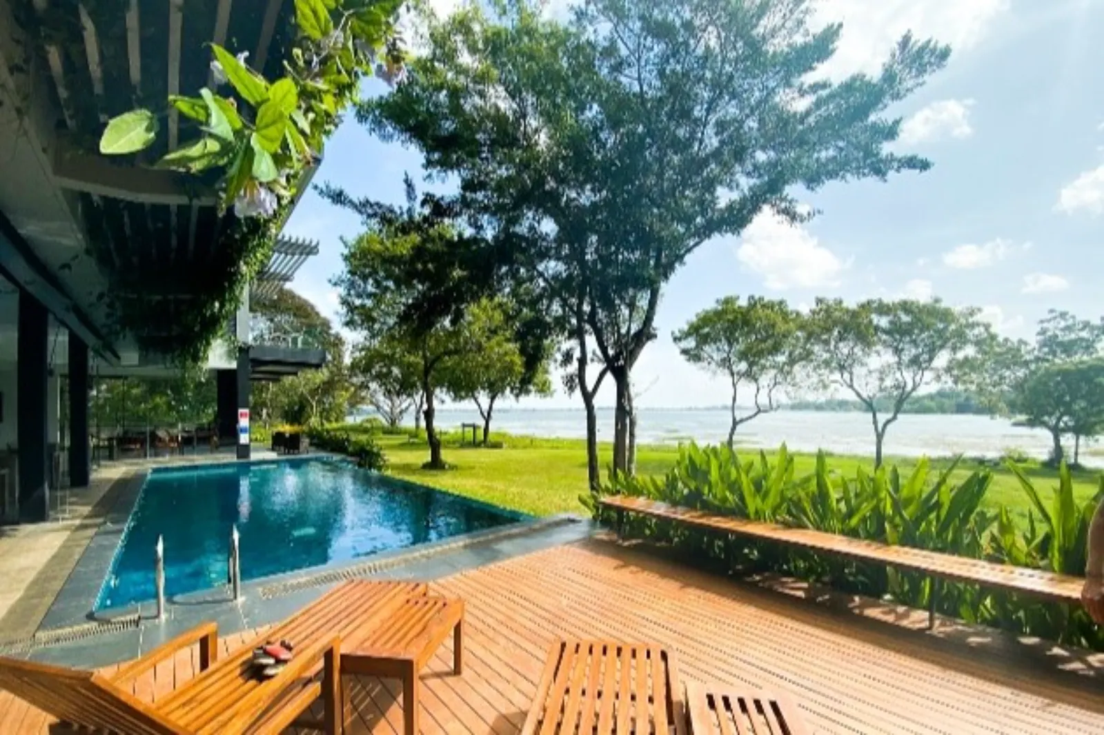 &Olives-Sri Lanka-Anuradhapura-Lake Forest-view
