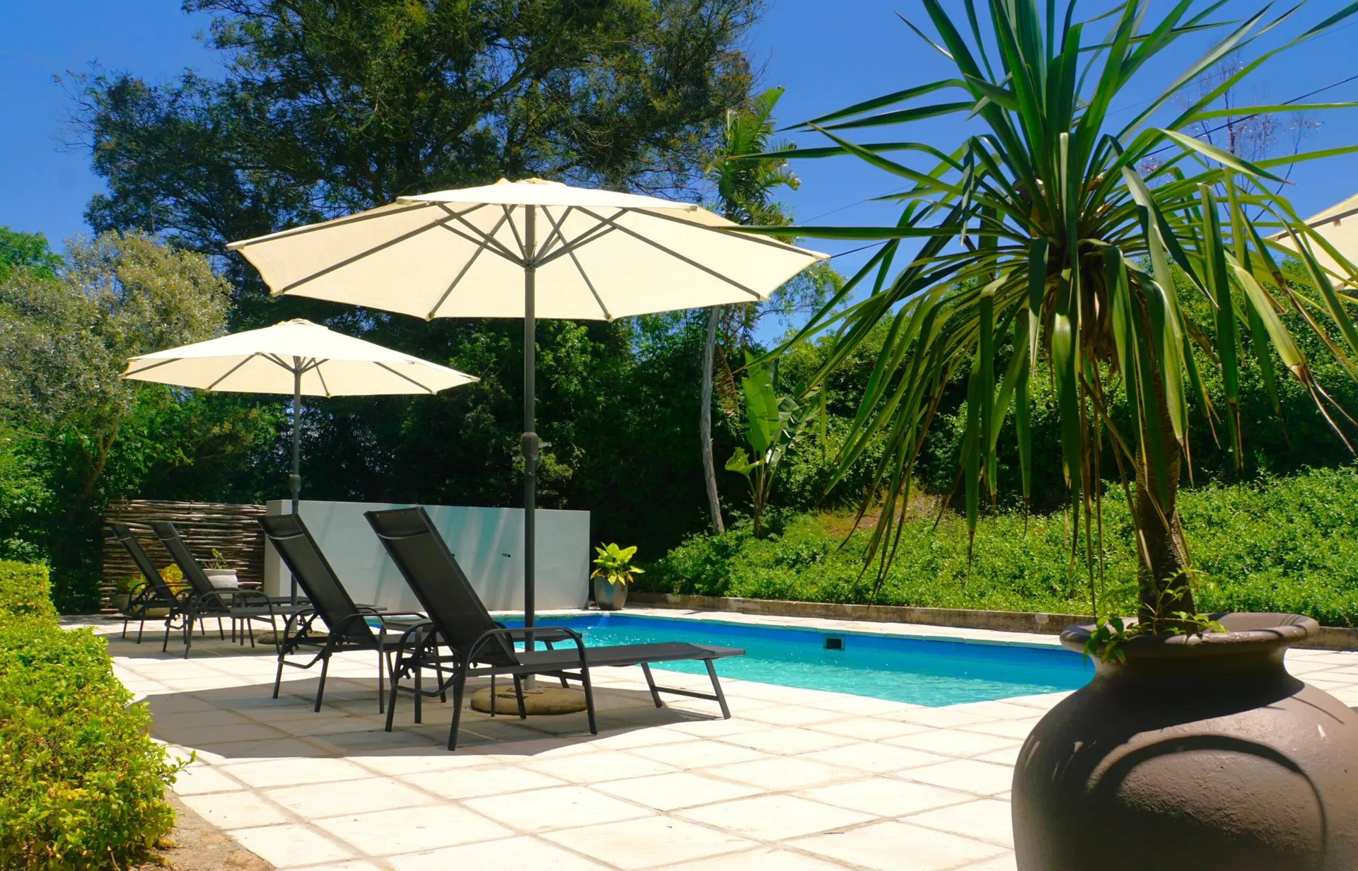 &Olives Travel-Zuid-Afrika-Swellendam-Swellendam Country Lodge-pool
