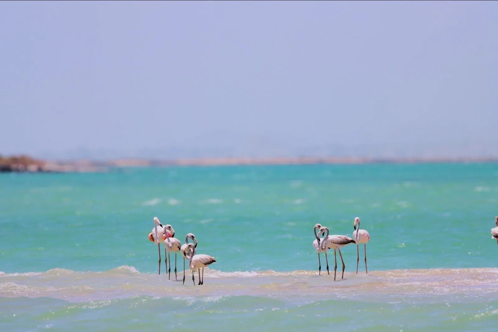 De bijzondere landschappen van Oman