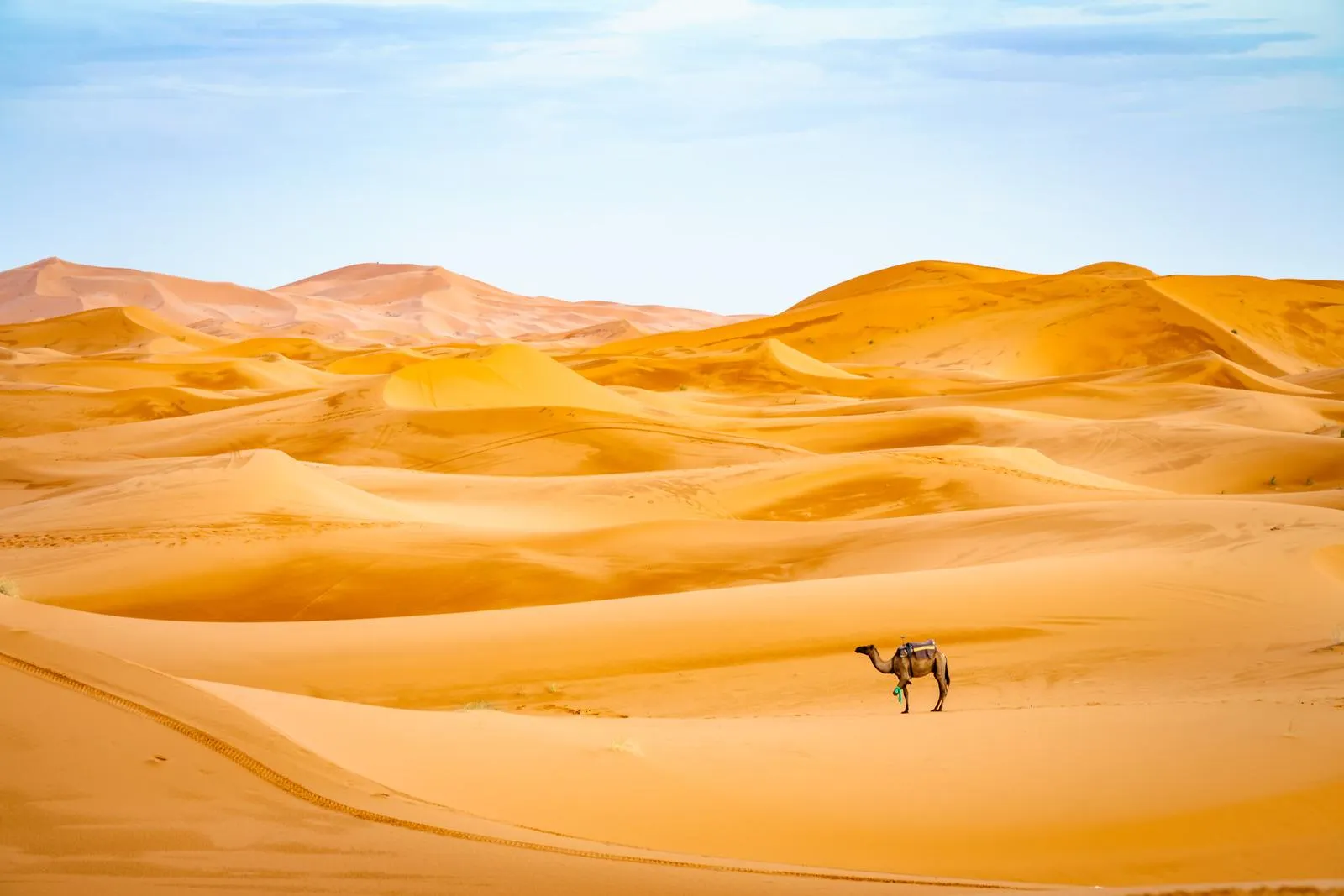 Woestijn, cultuur & kust in Marokko - Erg Chebbi