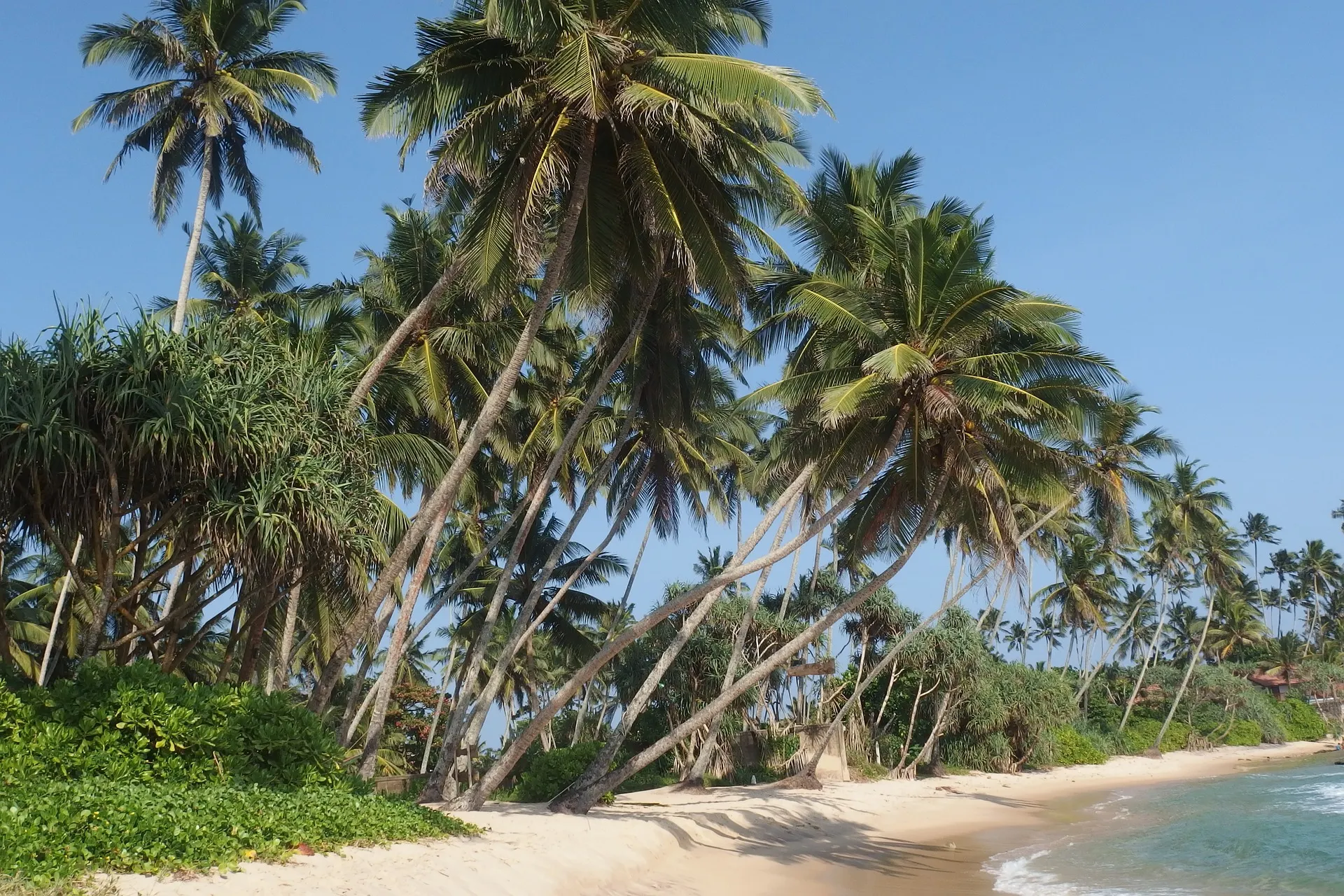 Sri Lanka-Bentota