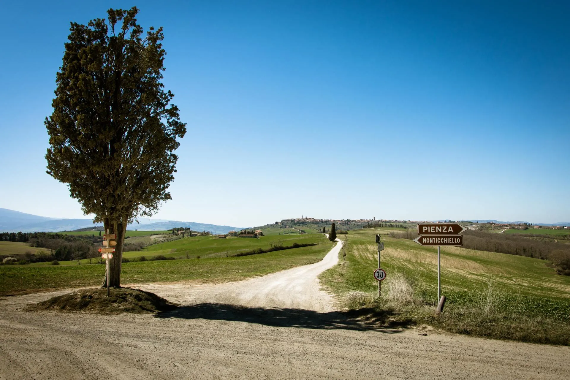 Weg met cipres in tussen Pienza en Monticchiello Toscane 