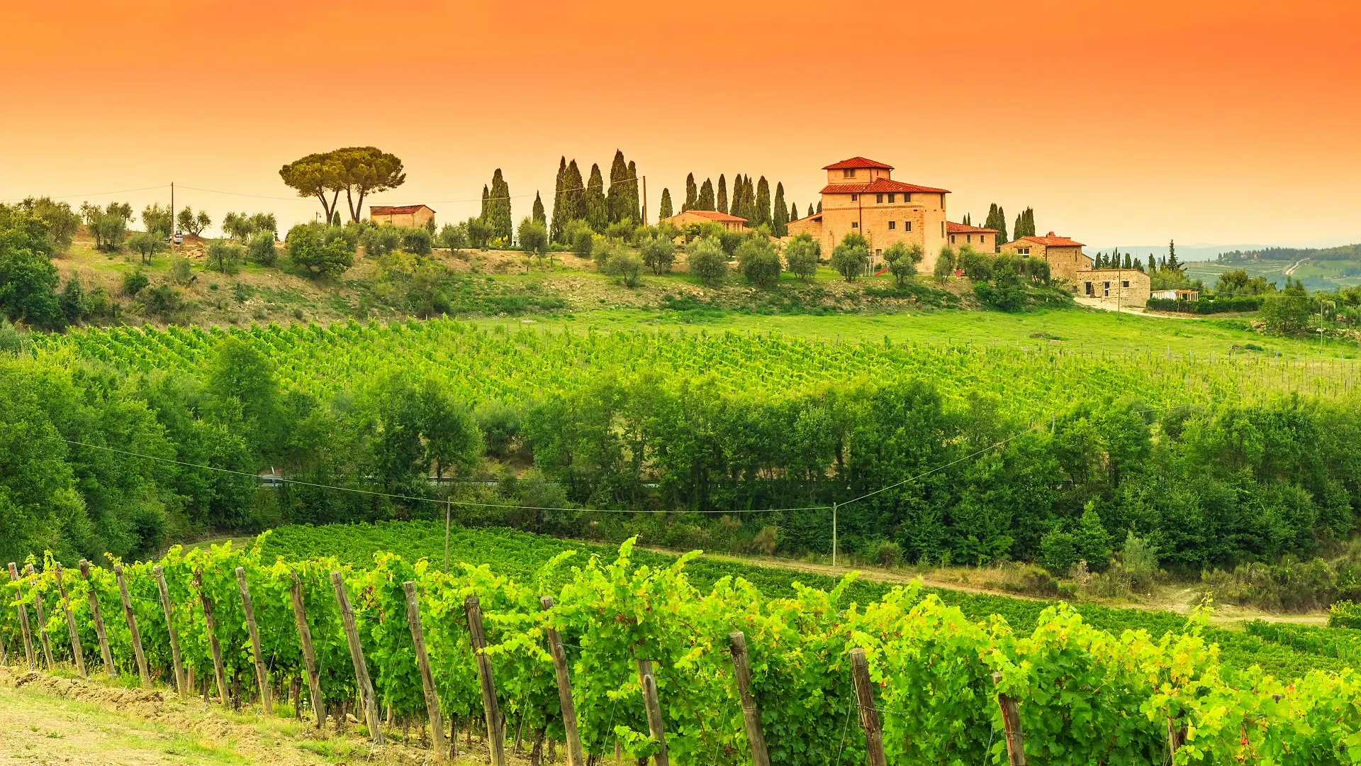 Typical Tuscany stone house with vineyard in the Chianti region