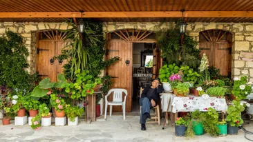 Een lokale man in zijn stoel in een prachtige tuin met planten in een dorpje in Omodos, Cyprus binnenland overig