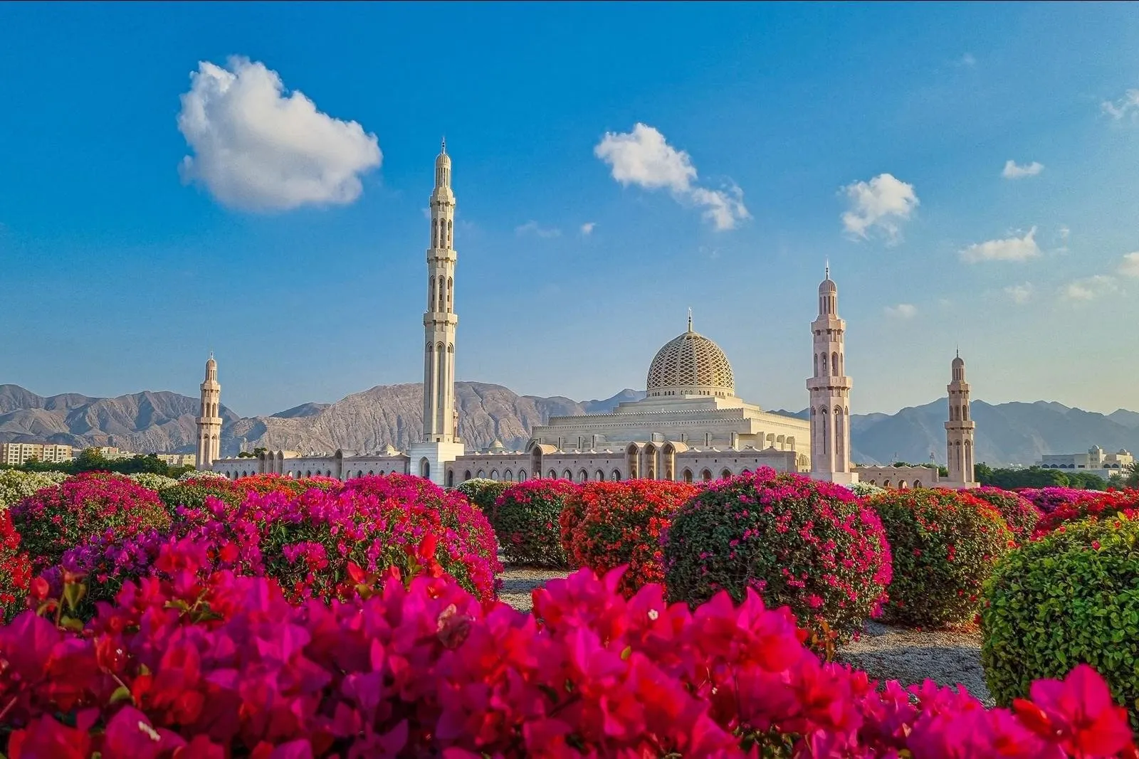 Sterren en Zand Oman in de daktent