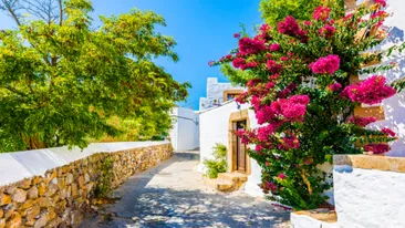 Chora, Patmos, Griekenland, blauwe lucht, roze bloemen en wit gebouw