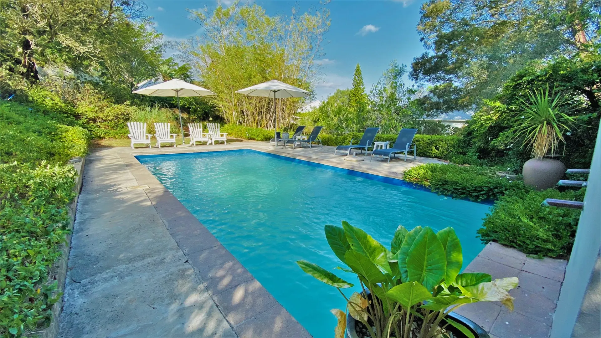 &Olives Travel-Zuid-Afrika-Swellendam-Swellendam Country Lodge-pool2