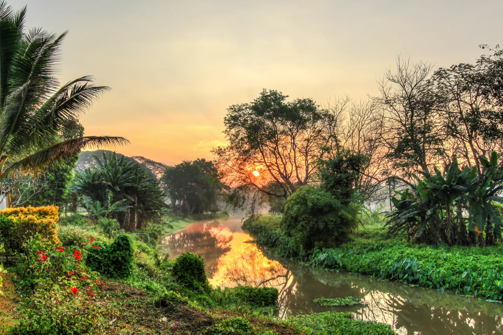 &Olives_Thailand_Kok river