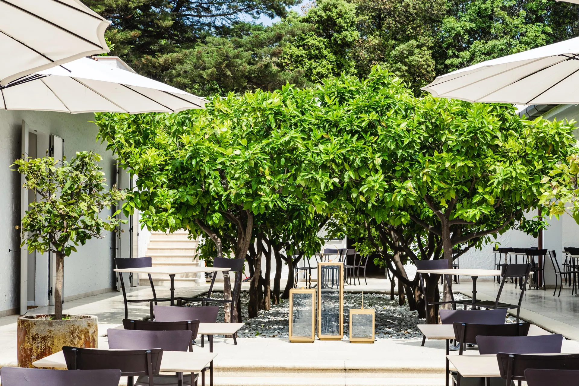 Seebay Hotel - terras