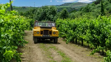 Auto door de wijngaard bij Peso da Regua, Noord Portugal